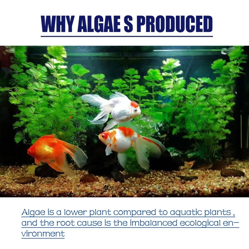 50g High Efficiency Algaecide  - Water Soluble Stabilizer review and price